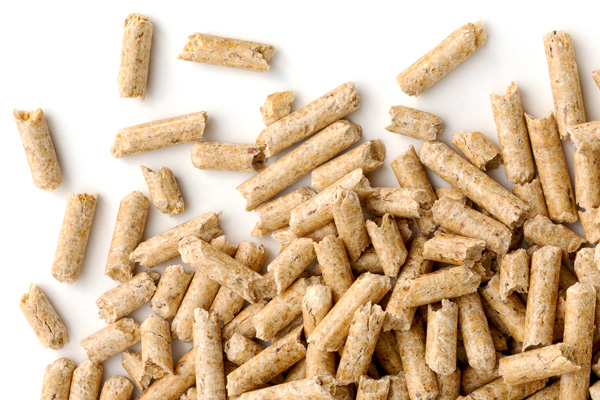 pellet