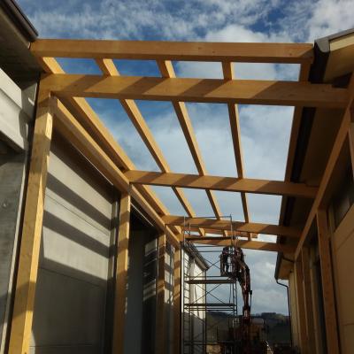 Tetto Legno Lamellare Struttura Agricola
